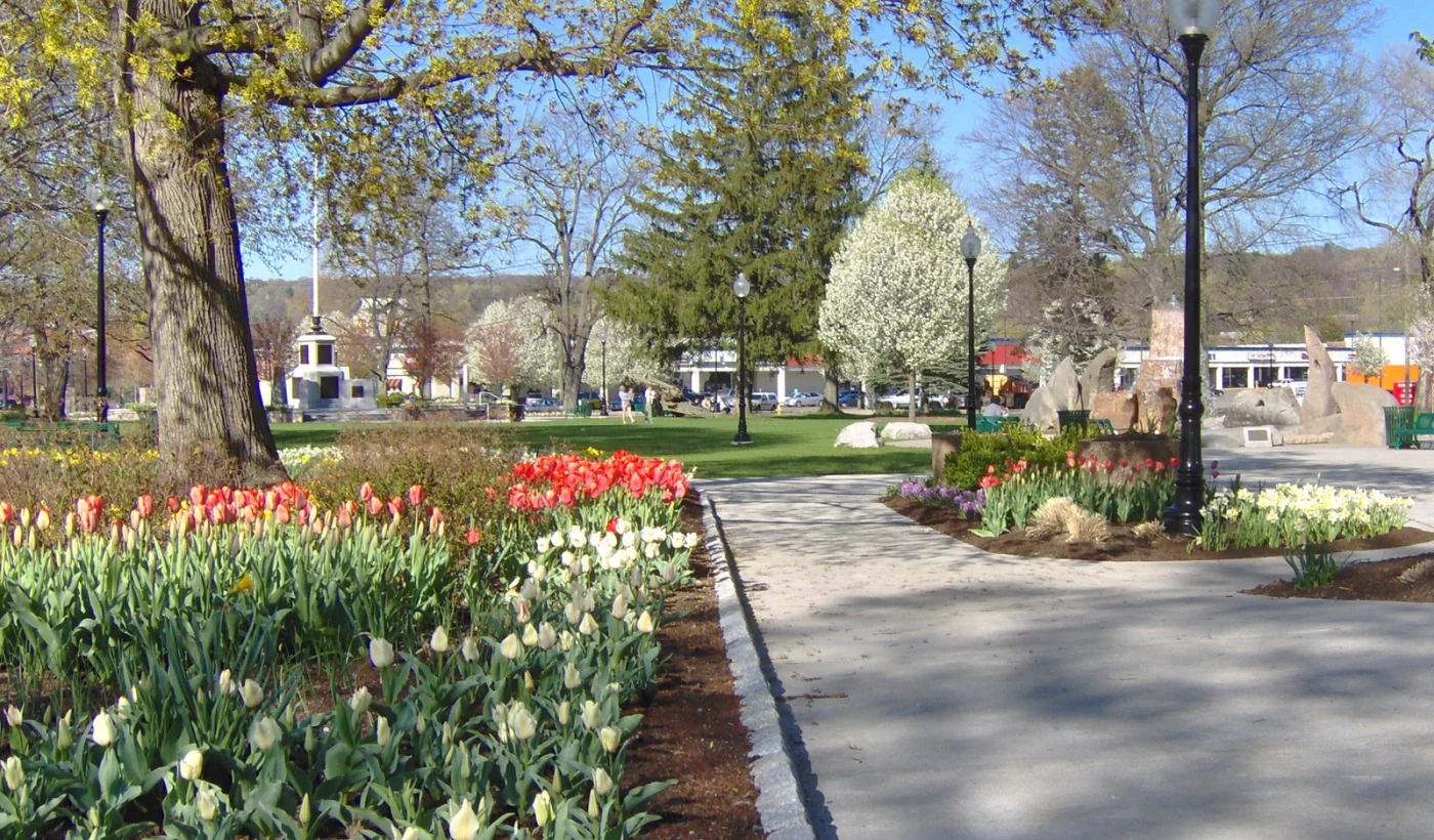 How to Sell Land Without Clear Title in Connecticut