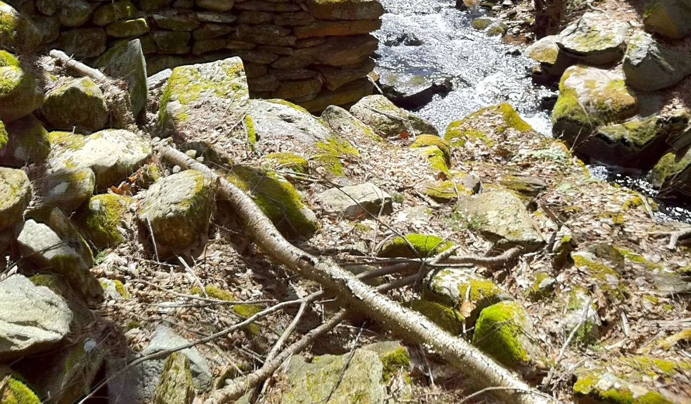Selling Land to a Developer in Connecticut