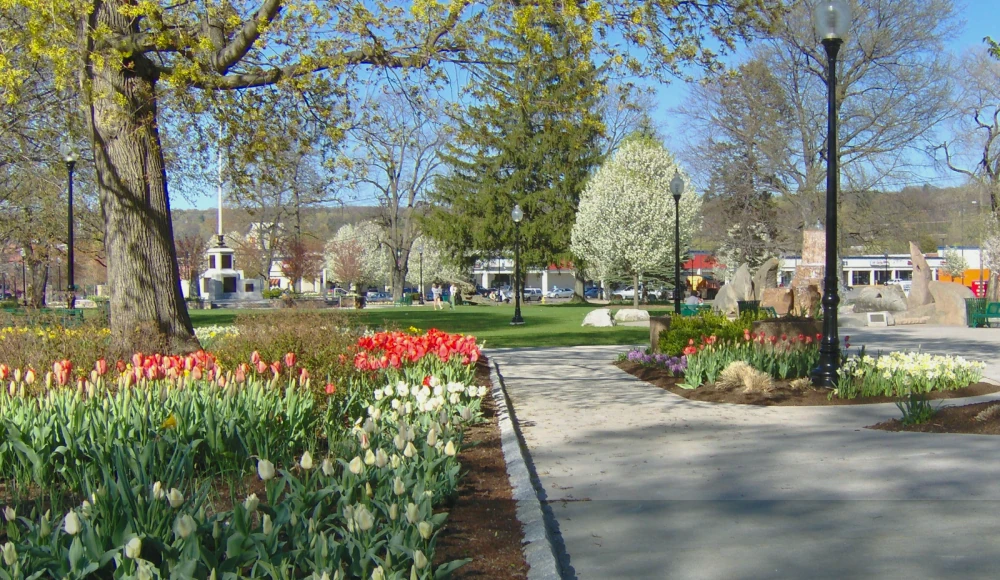 Connecticut Land Buyers: How to Find Cash Buyers for Your Land closing checklist