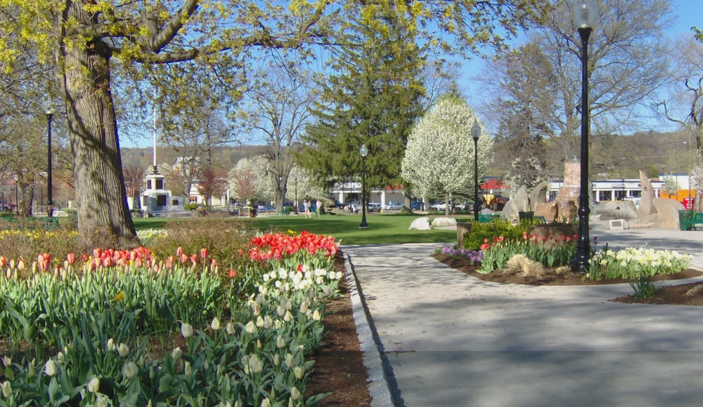 How to Sell Land Without a Realtor in Connecticut land sale review