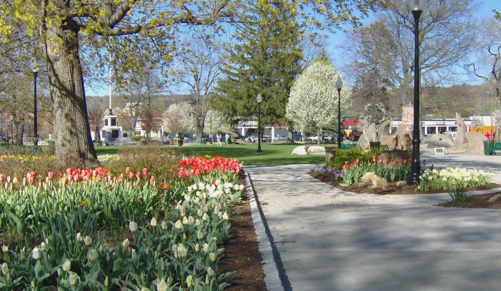 Tax on Selling Land in Connecticut land guide